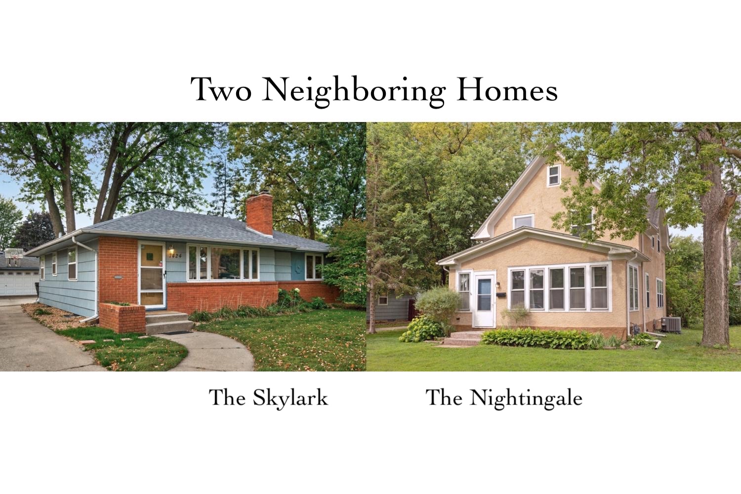 The Nightingale and The Skylark